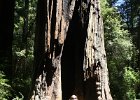 canon-pictures 297